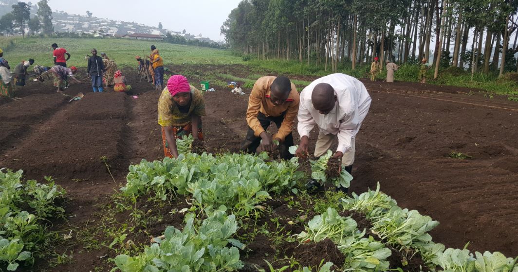 Champs communautaires